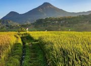 Dukung Ketahanan Pangan Nasional, Pemkab Mojokerto Lakukan Intervensi Sektor Pertanian dan Peternakan