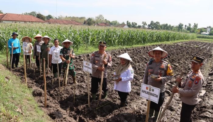 Dukung Swasembada Pangan, Polres Magetan Tanam Jagung Manfaatkan Lahan Tidur Aset Polri