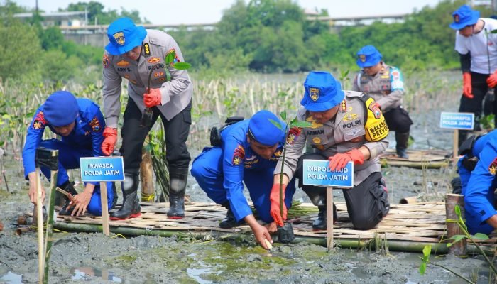 Dukung Program Asta Cita, Ditpolairud Polda Jatim dan Polres Gresik Tanam 10.000 Pohon Mangrove