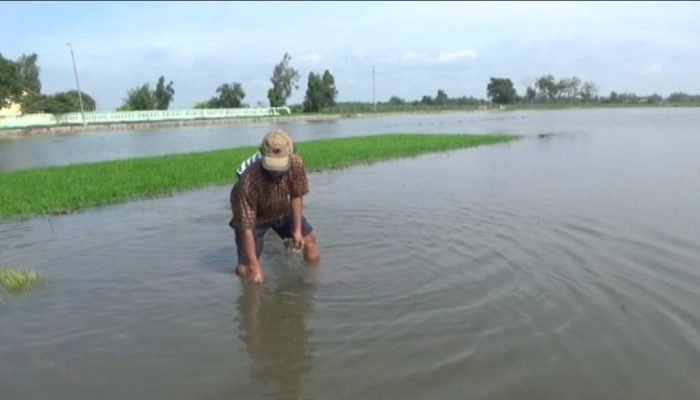 Nilai Tukar Petani di Jatim Naik, Ini Berarti Petani Lebih Sejahtera