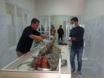 WhatsApp Image 2023 08 25 at 18.02.50