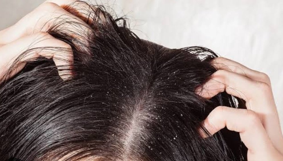 Screenshot 20231107 210041 Google