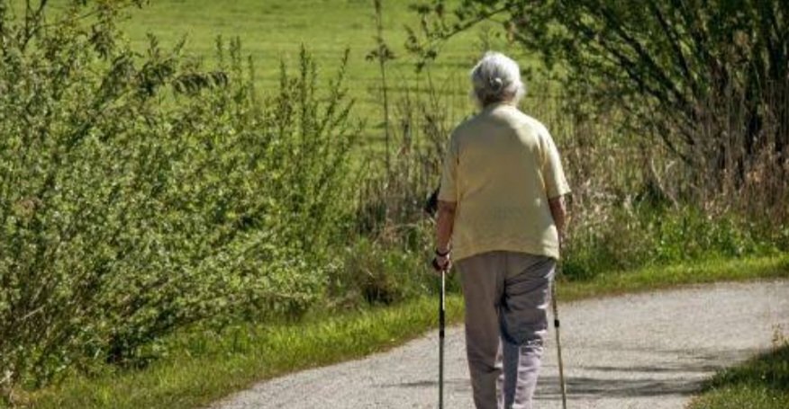 Screenshot 20231107 232804 Google