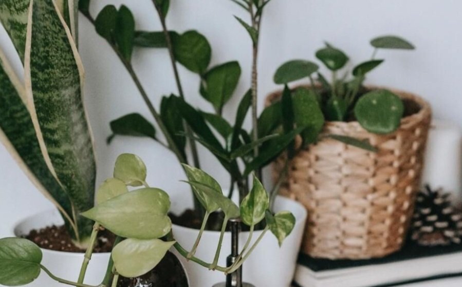 Screenshot 20231109 154904 Google