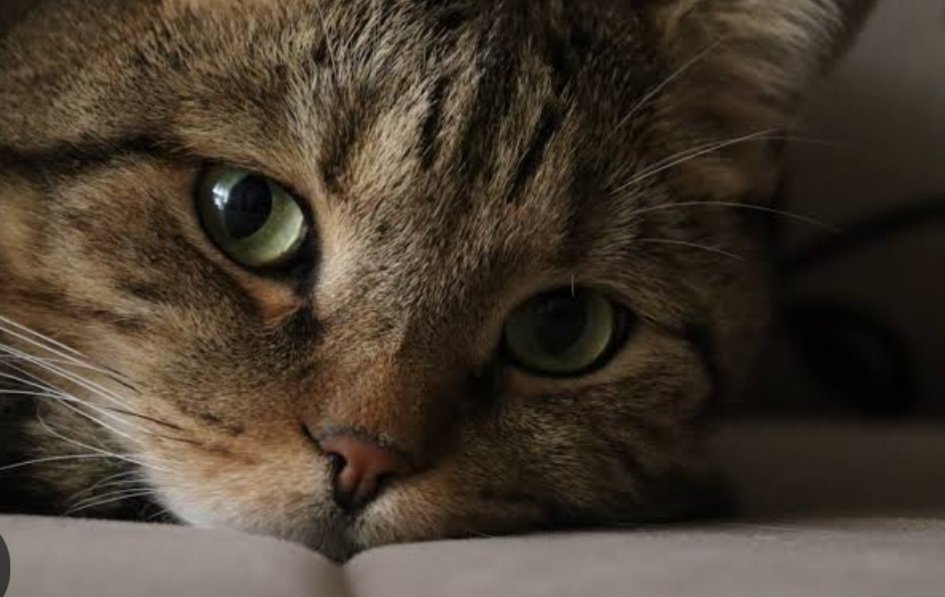 Screenshot 20231116 163632 Google