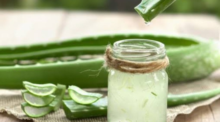 Screenshot 20231121 001221 Google