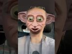 dobby tiktok kabarbaik.co