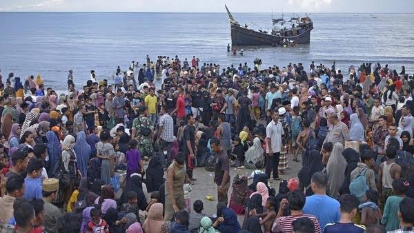 pengungsi rohingnya