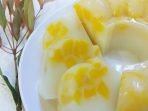 puding nangka