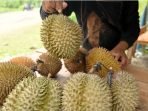 Buah durian