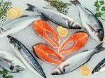 ikan yang baik untuk mpasi