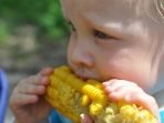 manfaat jagung untuk anak