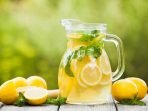 minuman detoks ginjal