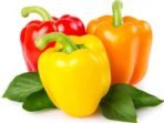 paprika
