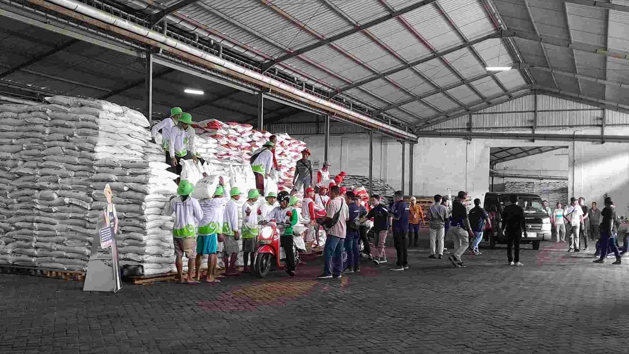 Pupuk banyuwangi Pupuk banyuwangi