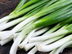 manfaat daun bawang