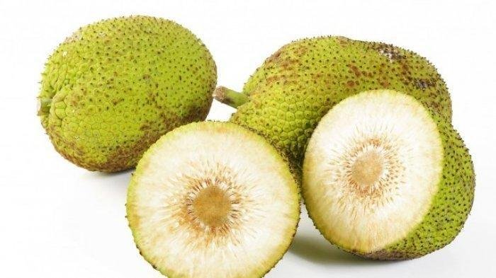 manfaat sukun