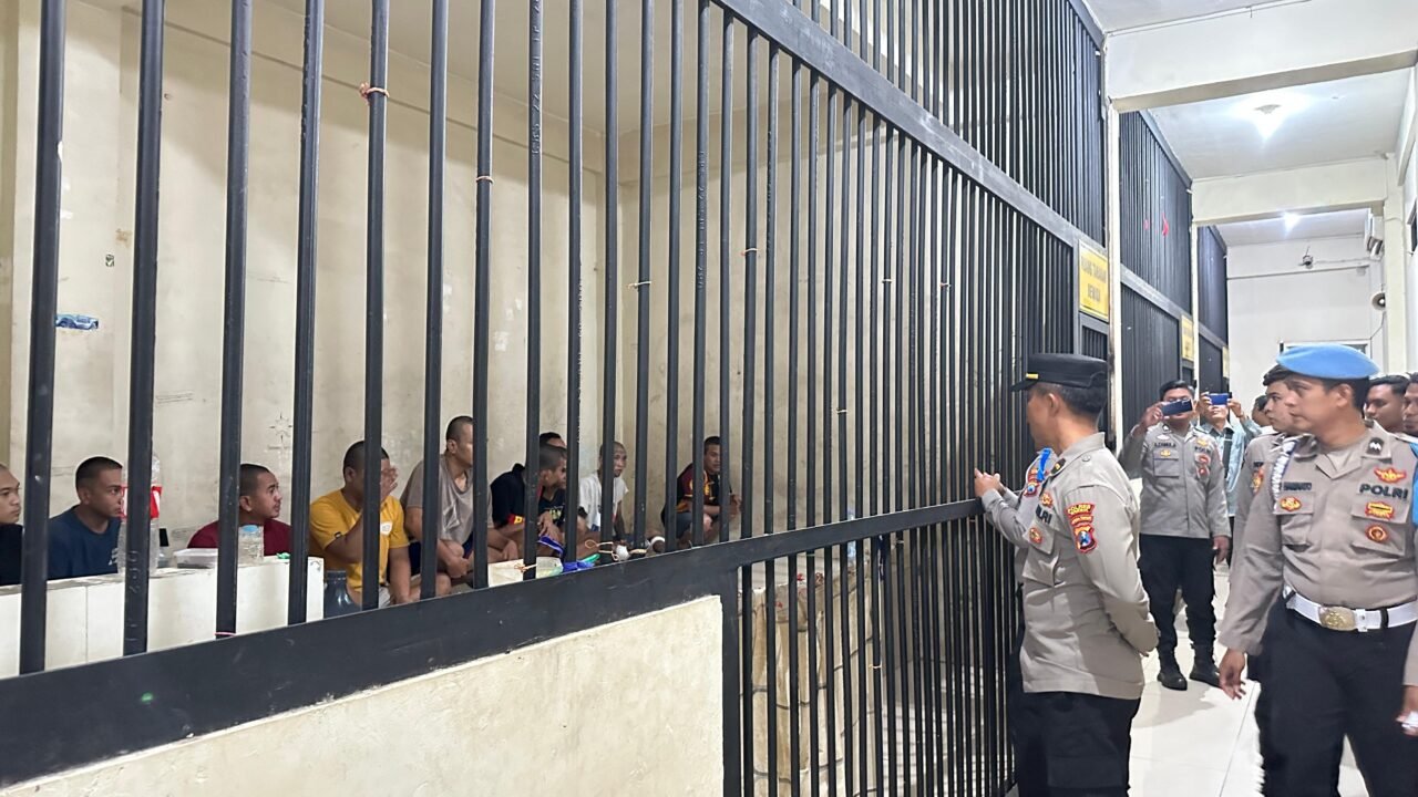 IMG 1486