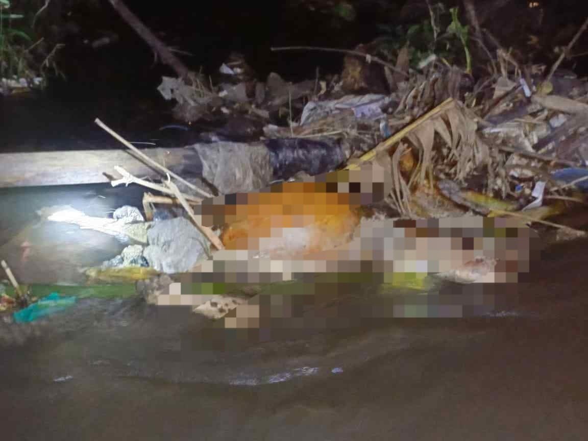 1604 Naskah Peristiwa Penemuan Jasad Banyuwangi