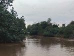 KALI MAS GRESIK