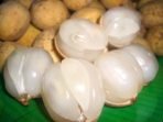 Khasiat Buah Duku