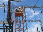 PT PLN