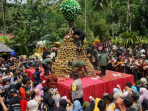 festival durian
