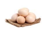 telur