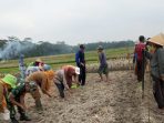 2705 Naskah Peristiwa Cilacap Babinsa Pangan