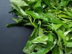 kangkung