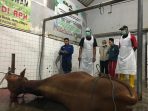 IMG 20240604 WA0014
