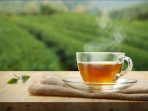 Rwanda Tea Sector Catchyz Blog
