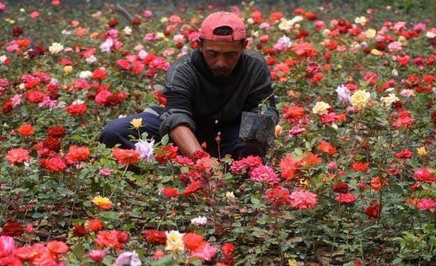 WhatsApp Image 2024-06-08 at 16.05.49 WhatsApp Image 2024 06 08 at 16.05.49