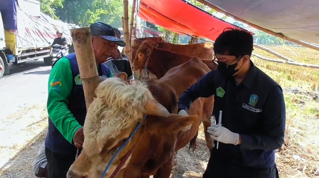 kurban sidoarjo kurban sidoarjo