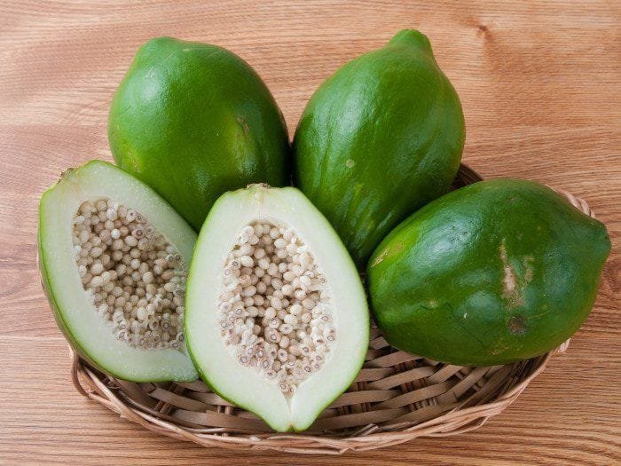 pepaya muda