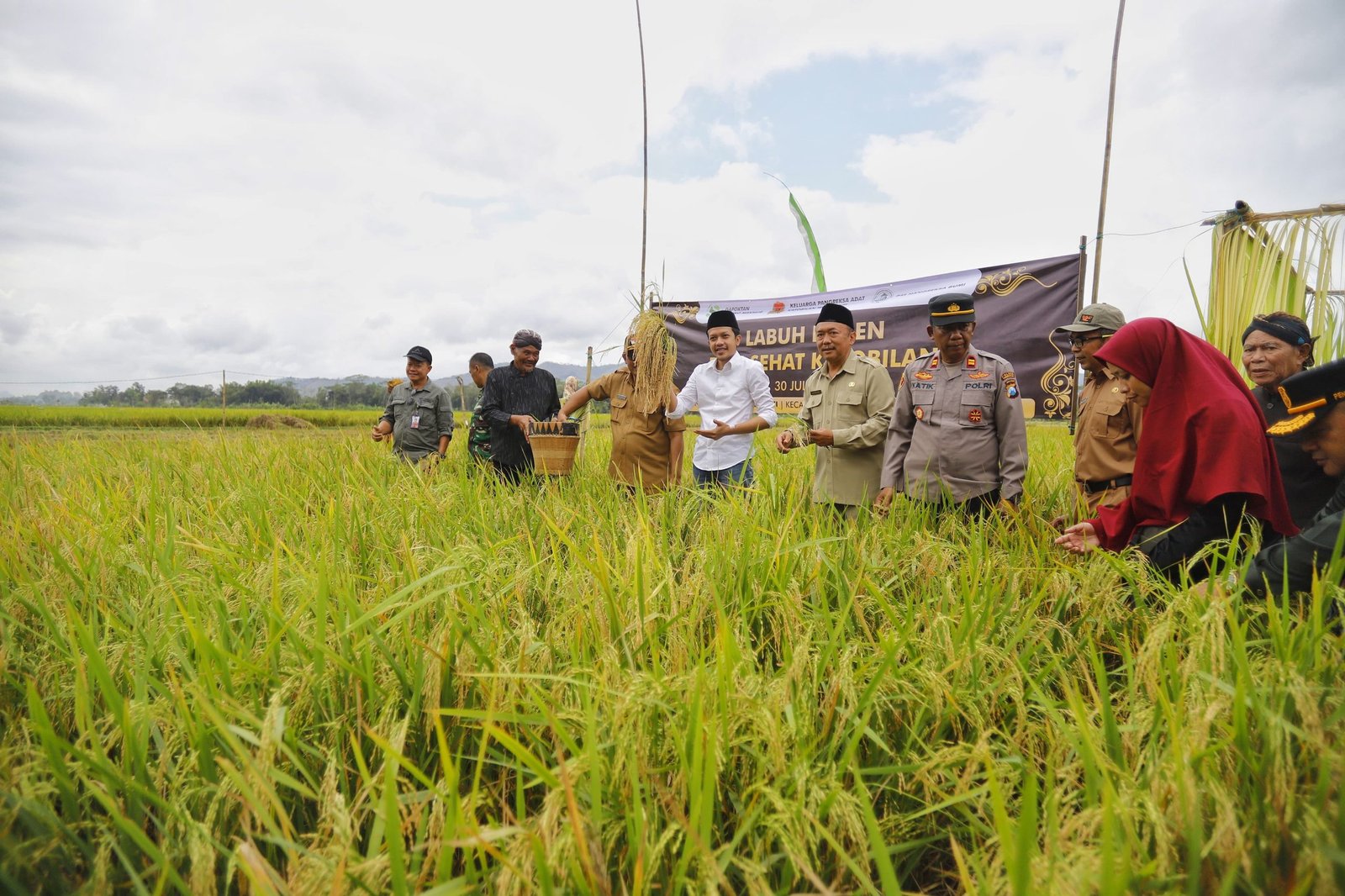 403c5469 d381 4252 a354 ecef3ff70095 scaled