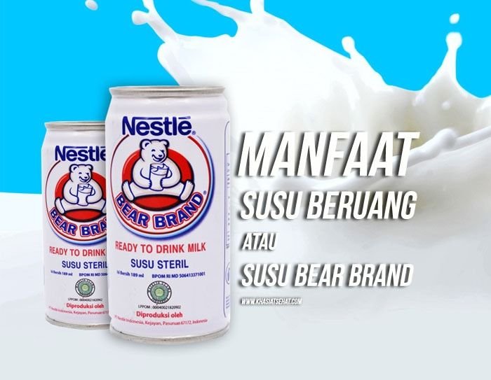 susu bear brand