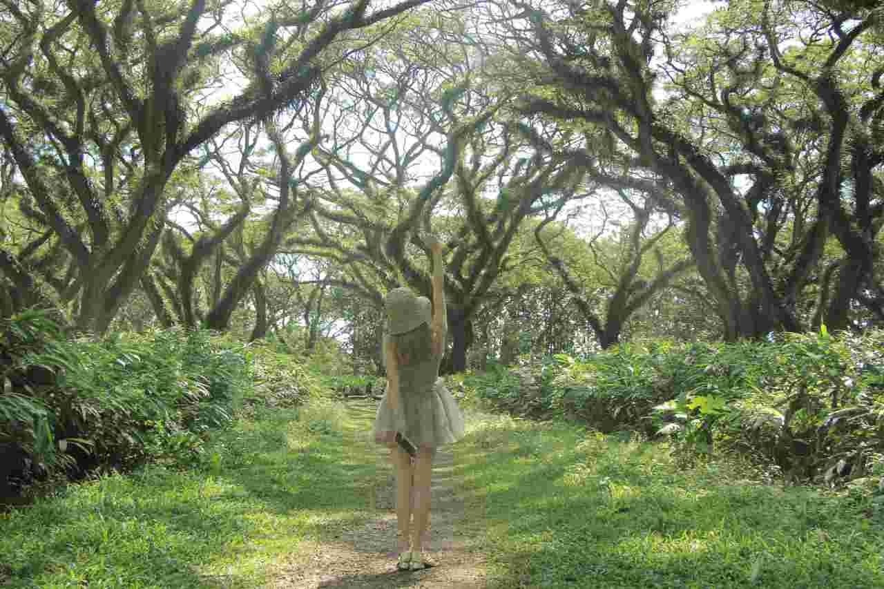 wisata banyuwangi