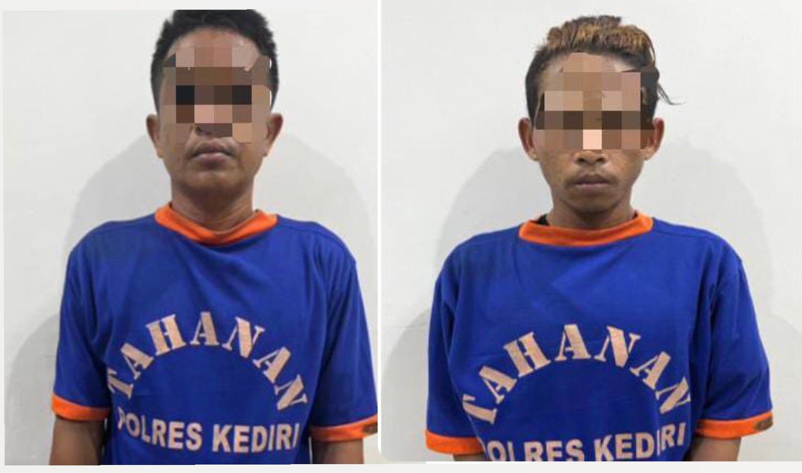 C25408BB 81B4 4940 9582 BDA561AFB1ED