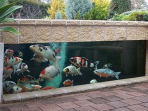 aquarium