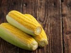 jagung