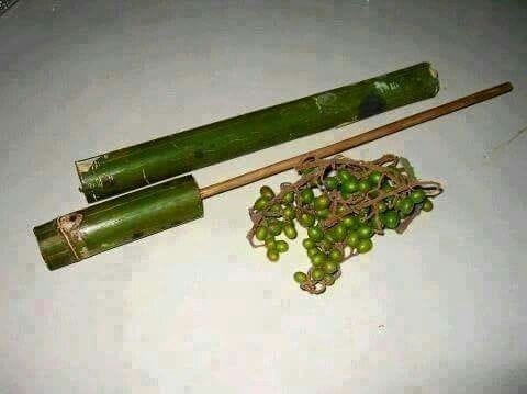 tulup