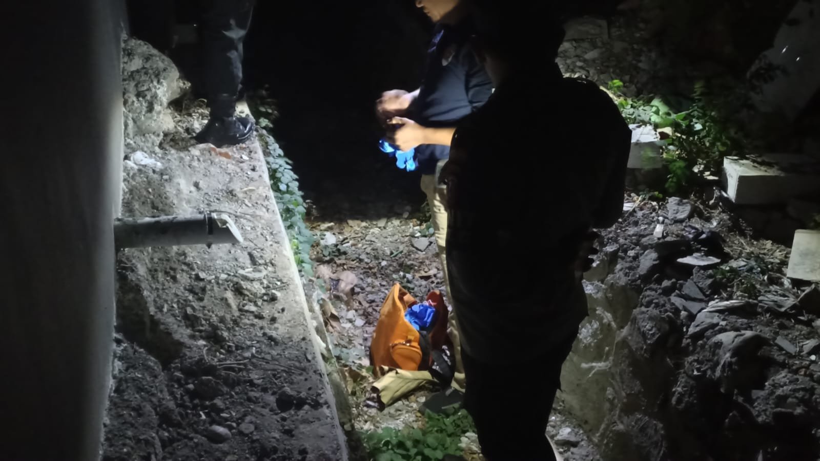 1b319ee8 bd8d 4d3d ac2e 2139be42ec31