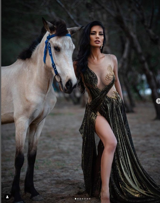 VINA ANGGI2