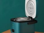 rice cooker mini