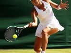tenis