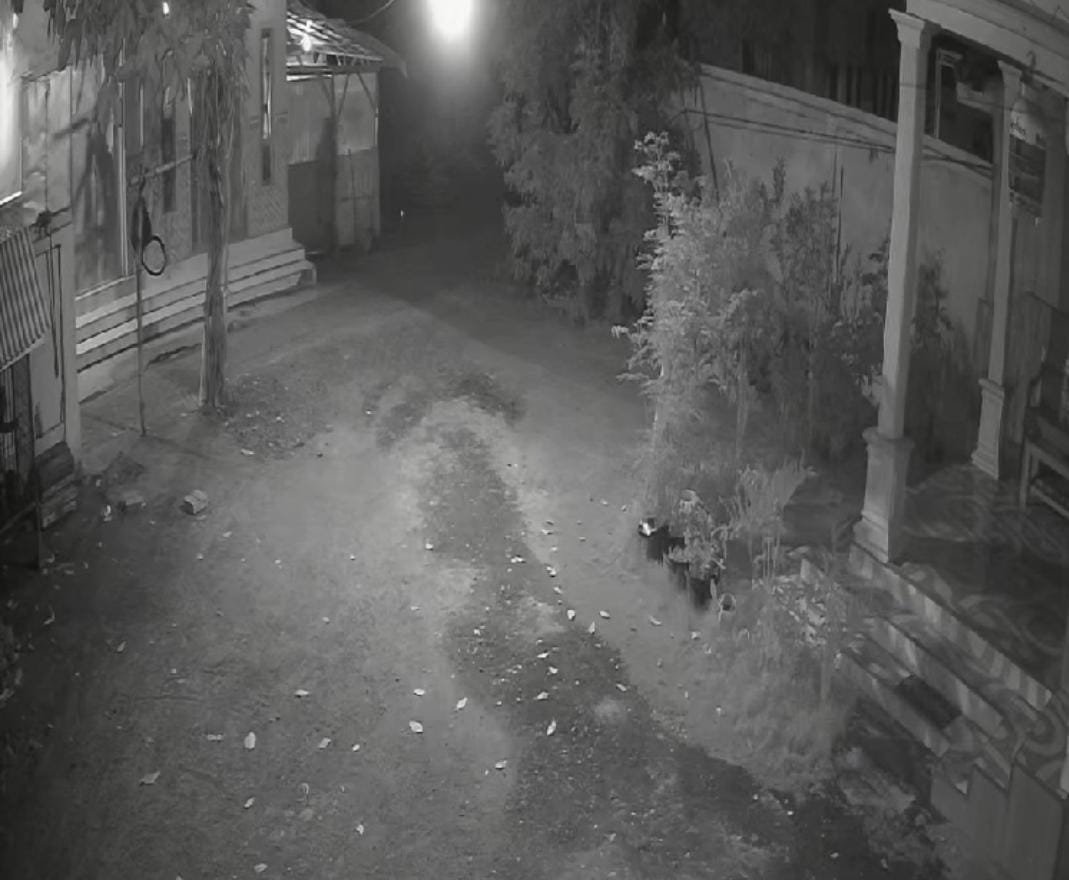 WhatsApp Image 2024 10 28 at 13.25.59