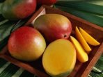 mangga
