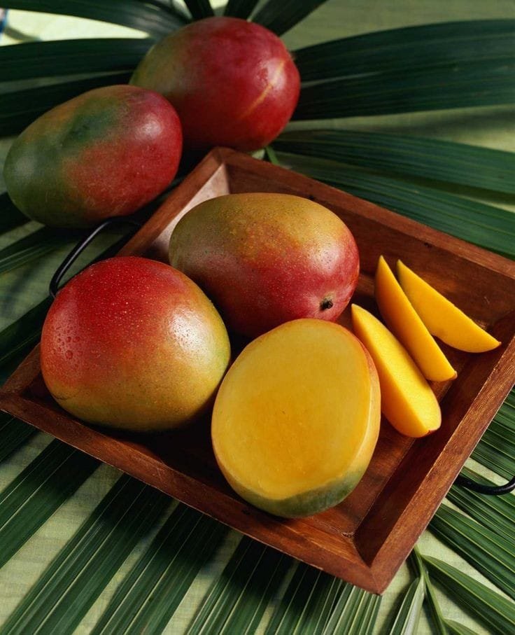 mangga