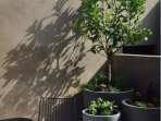 Bosan dengan Rutinitas? Coba 7 Ide Rooftop Garden Ini untuk Relaksasi 7 rooftop ala industrial
